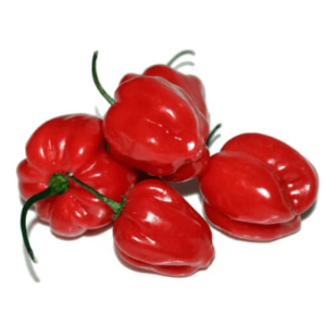 Λαχανικά Πιπεριές καυτερές Habanero